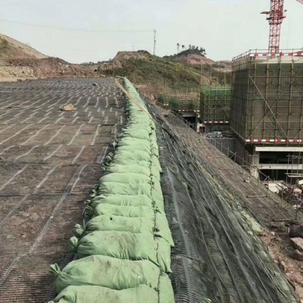 Black Retaining Wall Uniaxial Plastic Geogrid Soil Geogrid Stabilization