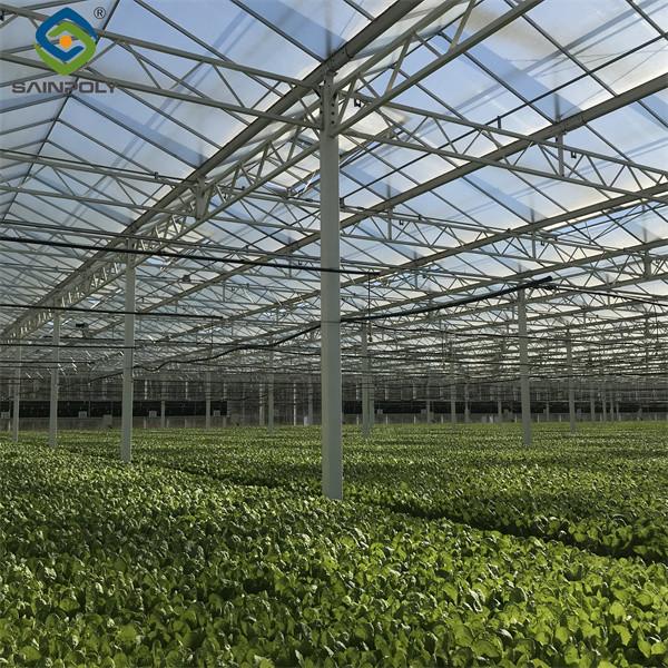 Commercial Lettuce Farm NFT Greenhouse With Galvanized Frame 1.6-1.8m Height
