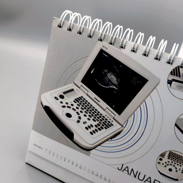 High Quality Customizable Double Spiral Wall and Desk Calendar Paper Material with Time Display Logo Printing for Use As a Table