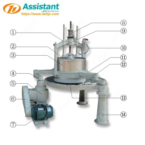 Small Capacity 20kg Green Tea Rolling Machine for Tea Leaves Kneading and Processing