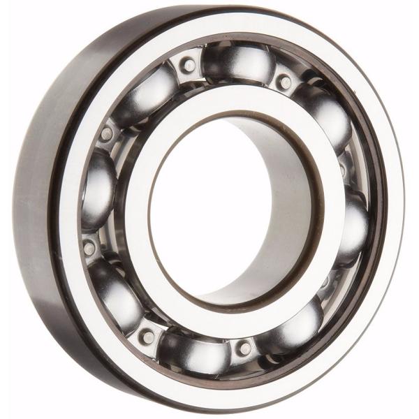 Double Sealed Single Row Deep Groove Ball Bearing 6313 For Household Appliances