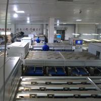 Canales de la clasificadora 6 de la castaña de Inshell de la categoría alimenticia