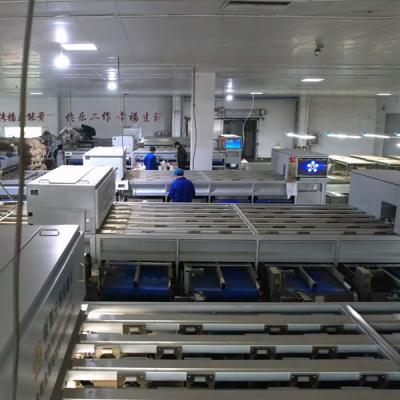 Canais da máquina de classificação 6 da castanha de Inshell do produto comestível