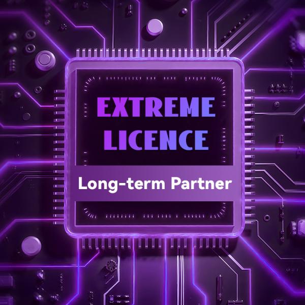 la licencia del interruptor VX de 9000 puntos de acceso inalámbricos extremos adaptantes de 1024x VX9000 autoriza el paquete