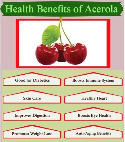 Acerola cherry powder benefits Freeze Dried Acerola Cherry Powder