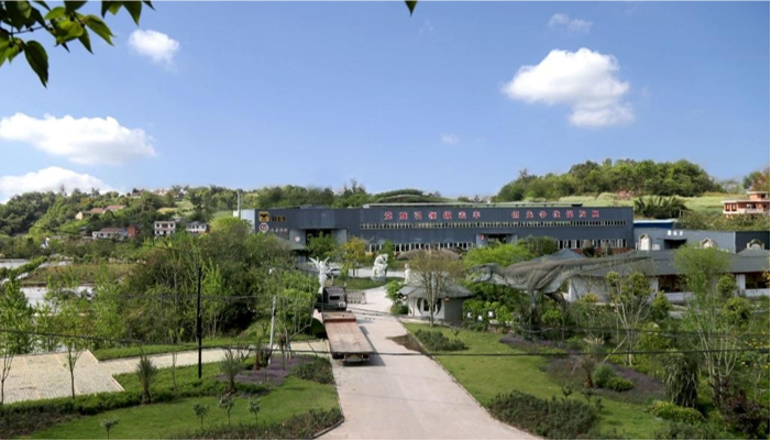 Zigong Longshang Culture and Art Co., Ltd.