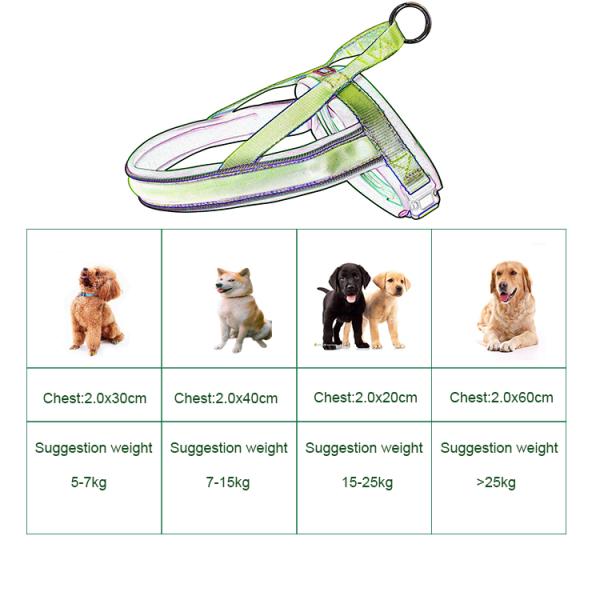 Nylon Adjustable Light Up Led Dog Harness Rechargeable Soft Outdoor Flashing