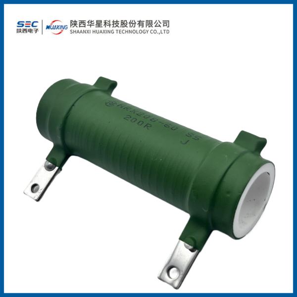 RX20B Varnished Wirewound Resistor