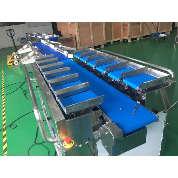 Máquina de processamento congelada pesador dos peixes da correia do PLC impermeável