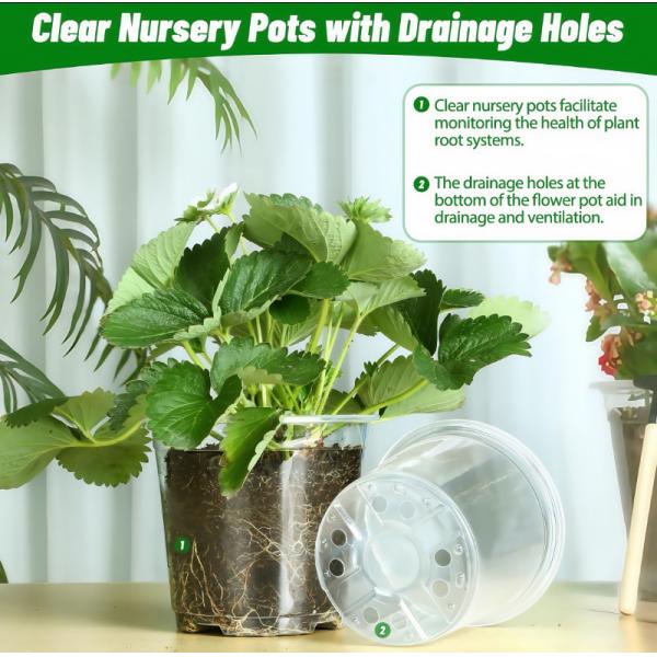 Transparent Phalaenopsis Flower Pot Transparent Flowerpot Orchid Pot