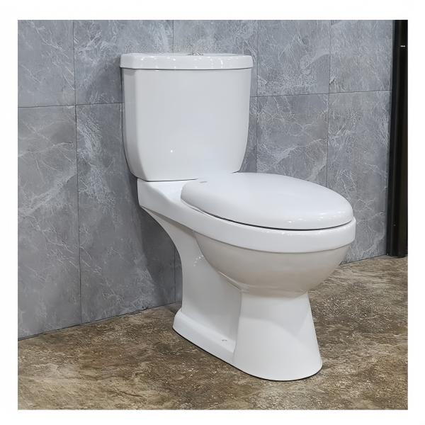 Dual-Flush Traditional Design Comfortable Washdown Water Closet Toilet Seat for Bathroom