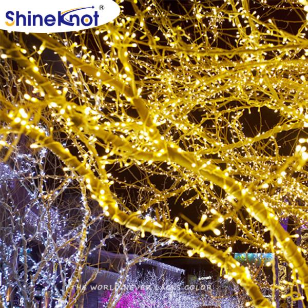 Outdoor Full Sky Star LED Light Strings 30M Hanging Decoration for Tree Holiday Lights
