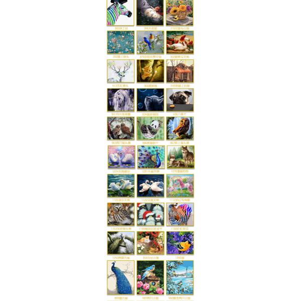 Digital Printing Oil Paints Art Canvas Portrait Kits for Creative Home Hotel Decoration