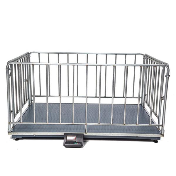 Balance de pesage numérique pour bétail 500kg/1000kg, limite de poids, support OEM personnalisé, balance de clôture pour bovins, moutons et porcs