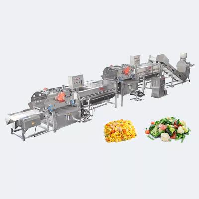 Linha de classificação de lavagem de frutas de tomate cereja comercial equipamento de linha de processamento de vegetais equipamento de cozinha