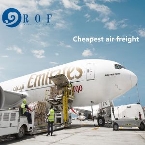 FBA Freight Forwarder
