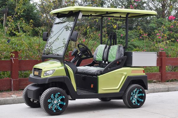 48V Battery Voltage And 1 Seat Electrical Golf Cart With CE Certificate