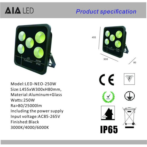 New aluminum rainproof IP66 high watts led floodlight COB 250W LED Flood lighting