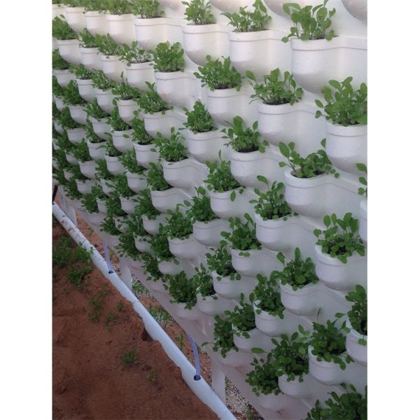 IGreen New Designed Wall Type Hydroponic Vertical Growing Systems