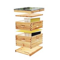 10 quadros Langstroth 2 mergulham a cera completa da colmeia revestida para a apicultura
