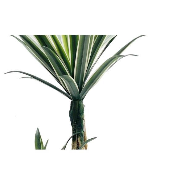 Дерево 100КМ 134КМ 166КМ бонзаев гибкого столетника растительности клея Американа искусственное