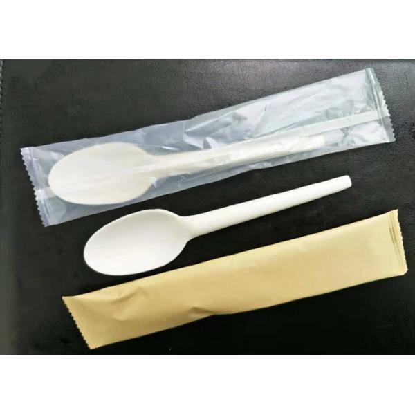 Compostable Disposable Spoon 165mm CPLA Cutlery
