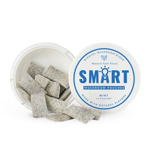 Smart Supplement Nootropic Pouches with Lion's Mane Extract Ginseng for Rapid Cognitive Enhancement