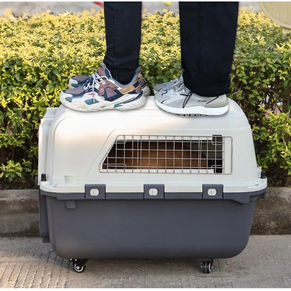 Button Closure Portable Pet Bag Large Capacity Cats Cage for Travel Products