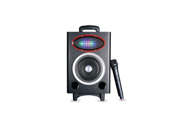 Wedding Events Outdoor Waterproof Speakers , Audio Player Speaker With Wireless Mic