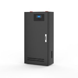 Pack de batterie de stockage photovoltaïque B201 de 5,12 kWh personnalisable