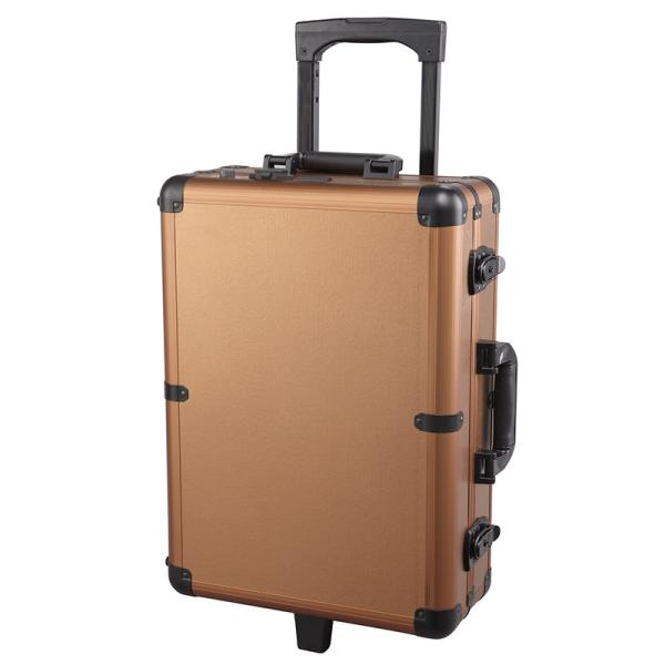 Large Capacity Makeup Case With Mirror And Lights For Makeup Manicure And Beauty Salon