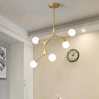 Les lampes pendantes G9 en verre détachable de Polonais traient le type de branche de lustre en verre