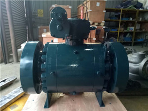 Forged Steel Trunnion Mounted Ball Valve 10