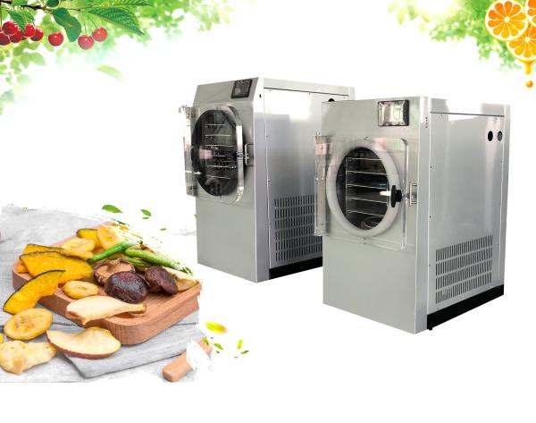 Cold Trap Home Freeze Dryer Machine Electric Heating Fruit Freeze Drying Machine