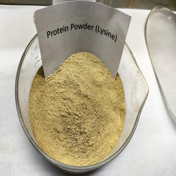 Probióticos Fermentação Proteína de aves de capoeira marrom em pó Proteína crua 75%