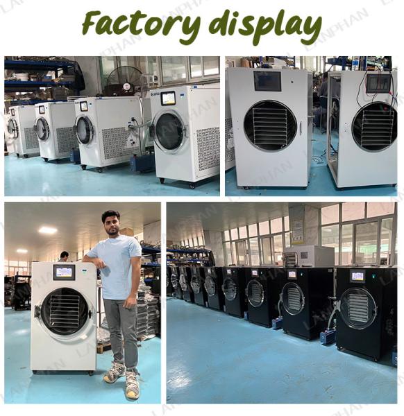6kg 10kg 20kg Fruit Liofilizador Small Vacuum Freeze Drying Equipment Home Food Freeze Dryer