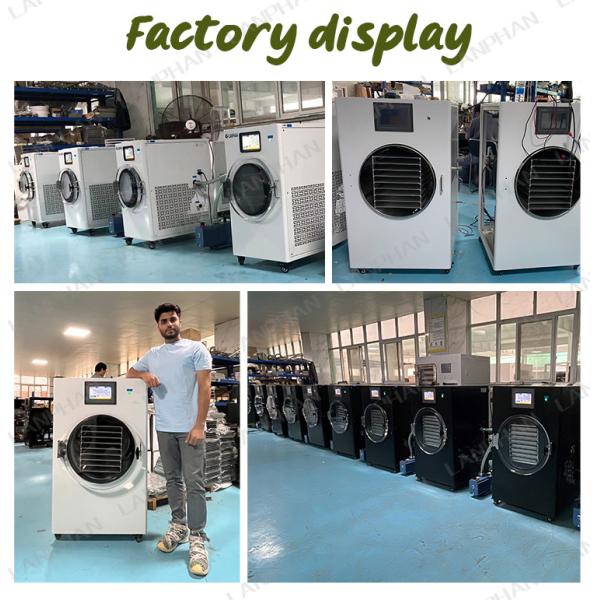 40kg Berries Fruit Vacuum Freeze Dryer Lyophilizer Candy Cucumber 8 Trays Freeze Dry Machine