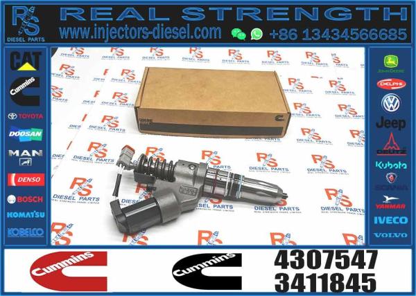 4307547 4061851 Ism11 Qsm11 Engine Fuel Injector For Excavator Diesel Engine Parts For Sale