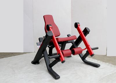 Placa comercial equipamento completo carregado da força do Gym