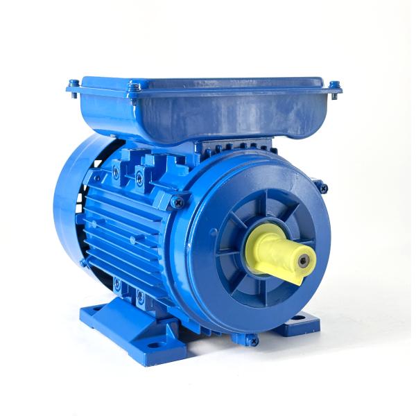 Single Phase AC Induction Motor YL801-4 - 550W 1400RPM 220V 50Hz