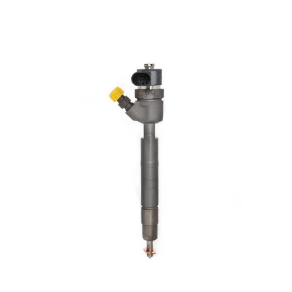 Tamanho padrão 0 injetor comum 0445110055 do trilho da injeção de 445 110 055 Bosch