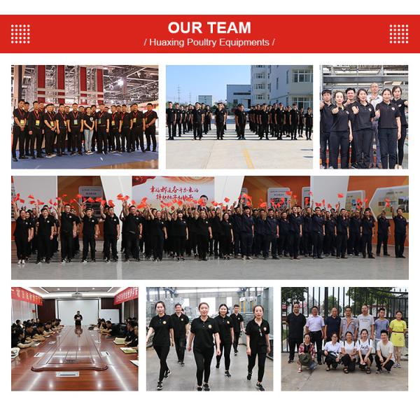 jaula de batería automática de Suráfrica de la jaula de las aves de corral del pollo de la capa de 4Tiers 160Birds Uzbekistán