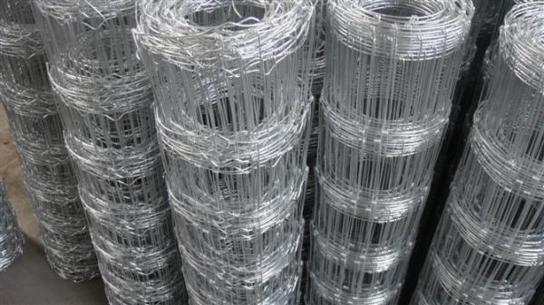 Sheep wire fence for sale