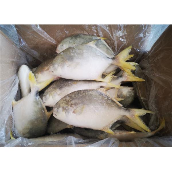 замороженные рыбы брамы 400G