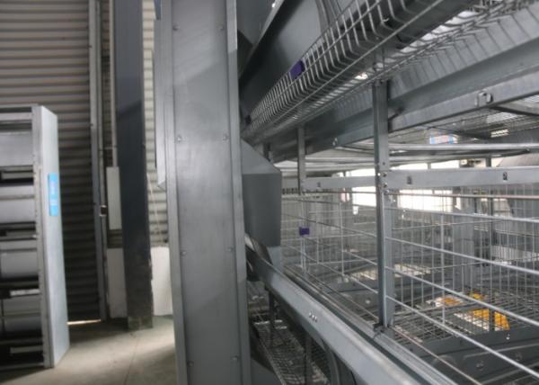Industrial Battery Broiler Cage System Enriched Cages For Laying Hens