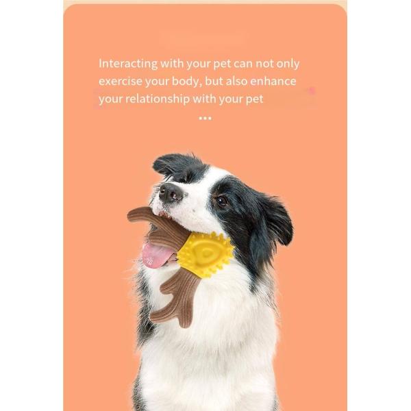 Juguete duradero para mascotas Juguete para masticar para limpiar los dientes