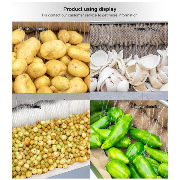 Ginger Potato Carrot Taro Sweet potato Yam Saiko persimmon Papaya Brush cleaning and peeling machine Wash Washer Washing Cleaning Dryer Frozen processing production Destoning
