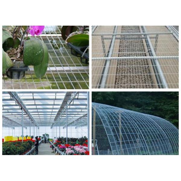 Rot Proof Galvanized Wire Fence Panels Durable For Greenhouse Seedling Bed
