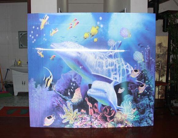 PLASTIC LENTICULAR 3D motions effect flip photo decoration lenticular photo with 3d pet lenticular