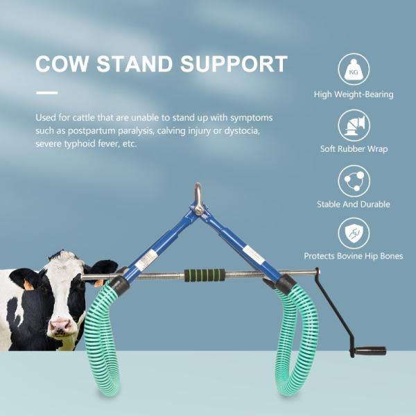 Élévateur de hanche pour vache 1000KG Tige en acier haute résistance Réglable